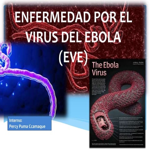 Presentacion del ebola | PPT