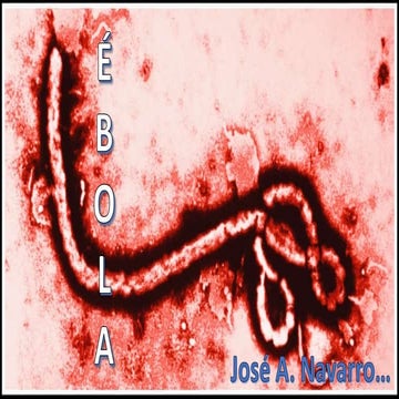 Presentacion del ebola | PPT