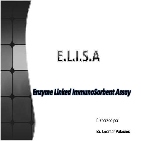Presentacion elisa