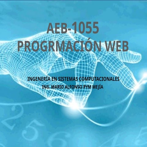 Presentación Encueadre programación web