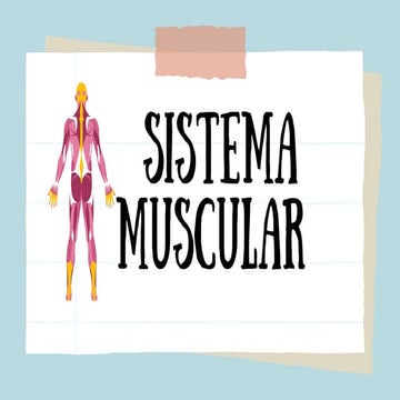 PRESENTACION DE ANATOMIA DEL SISTEMA MUSCULAR PDF | PDF
