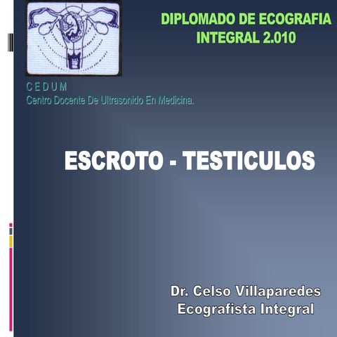 Ecografia escroto y testiculo 