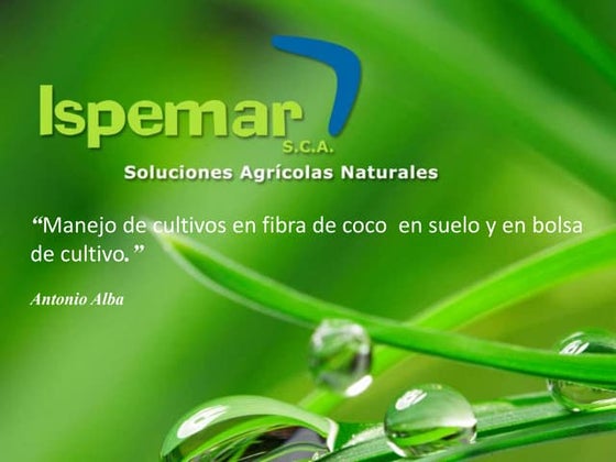 Manejo de Cultivos en Fibra de Coco en Suelo y en Bolsa de Cultivo