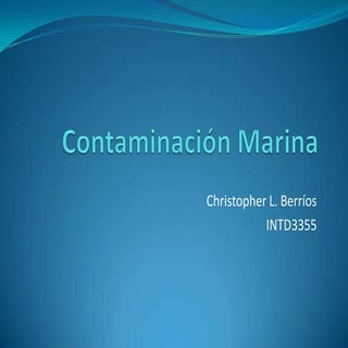 Contaminacion Marina