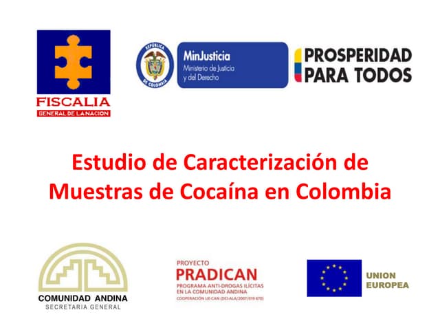 Presentacion fiscalia feb 5