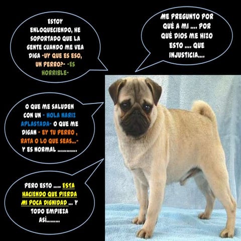 Presentacion fotonovela jennifer