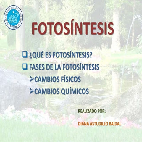 Presentacion fotosíntesis
