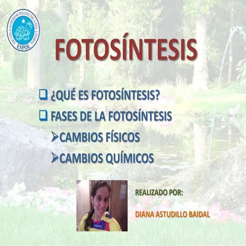 Presentacion fotosíntesis