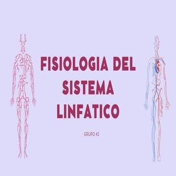 Presentación Diapositivas Anatomía Cuerpo Humano Ilustrado Bonito Rosa.pdf