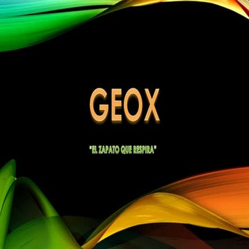 Presentacion geox