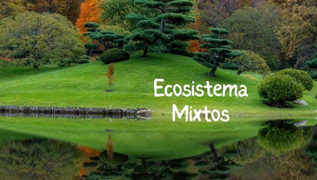 Ecosistemas Mixtos