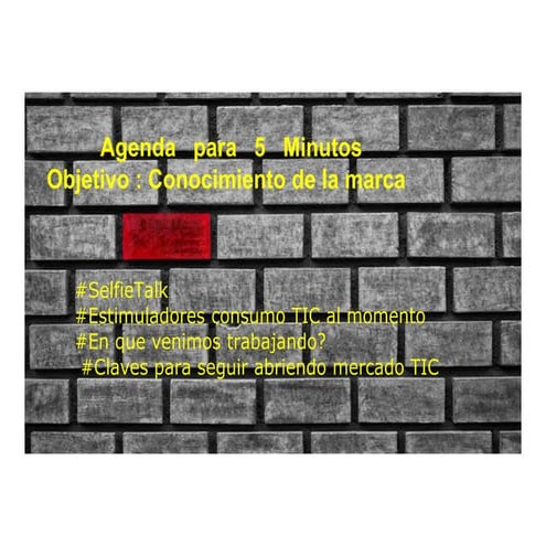 Sesion de Networking Empresarial Presentacion de Empresa/Desarrollo de Marca