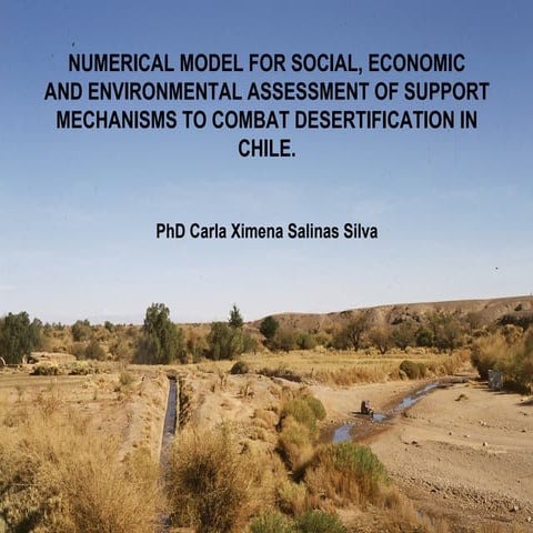 Carla Ximena SALINAS "Numerical model to assess the impact of the strategies ...