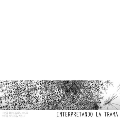 Presentacion interpretando la trama
