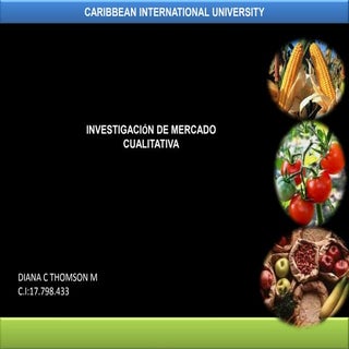 Presentacion investigación cualitativa