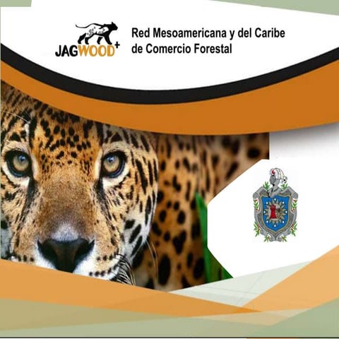 Diseño de planta de Carpinteria 