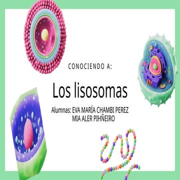 Los lisosomas Organelo celular (Biología Celular) | PPTX