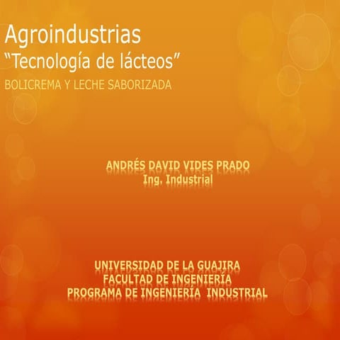 Presentacion leche saborizada