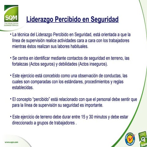 PRESENTACION LIDERAZGO PERCIBIDO SQM.ppt