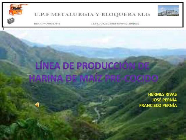 GERENCIA GENERAL DE PUBLICIDAD Y VE...