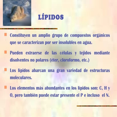 Presentacion lipidos