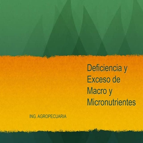 Presentacion macro y_micronutrientes