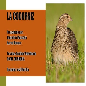 PRESENTACION MANUAL CODORNIZ.pptx