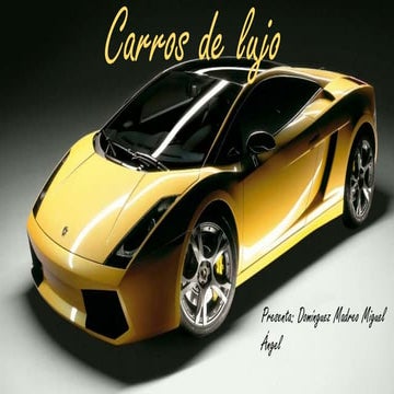 miguel angel dominguez madero miguel angel