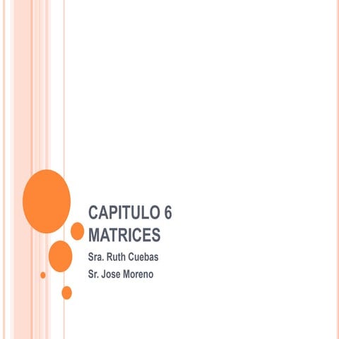Presentacion Matrices