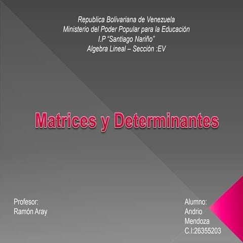 Presentacion matrices y determinantes