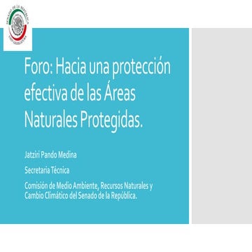 Presentacion mineria conversatorio