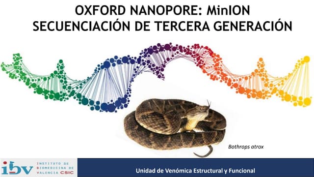 Oxford Nanopore MinION