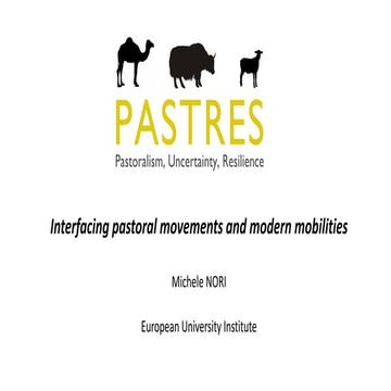Interfacing pastoral movements and modern mobilities
