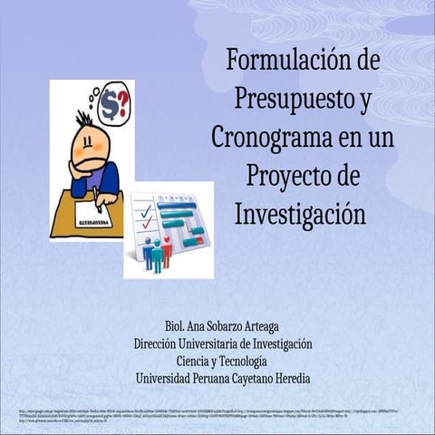 Presentacion OPS Cronograma y Presupuesto.ppt