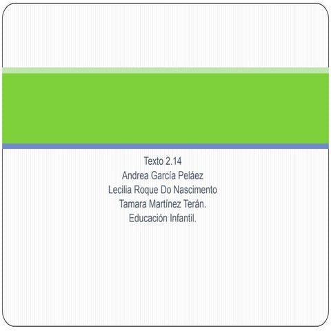 Presentacion organizacion