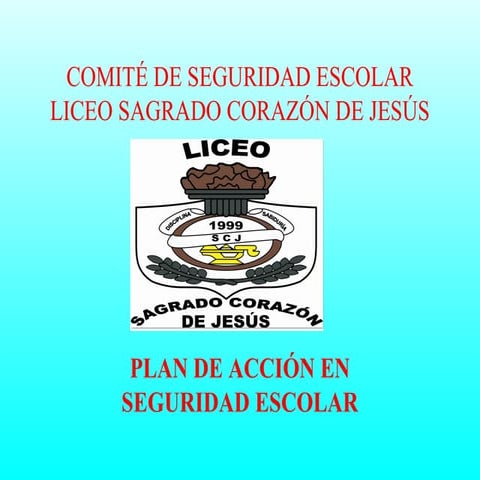 Presentacion plan de accion en emergencias LSCJ 2017