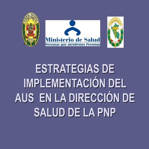 Presentacion pnp