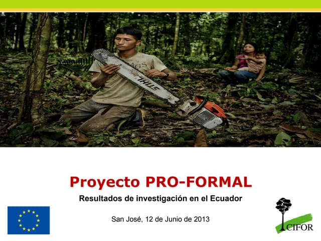 thumbnail of  Proyecto PRO-FORMAL: Resultados de investigación en el Ecuador