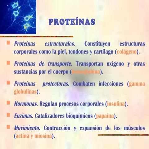 Presentacion proteinas