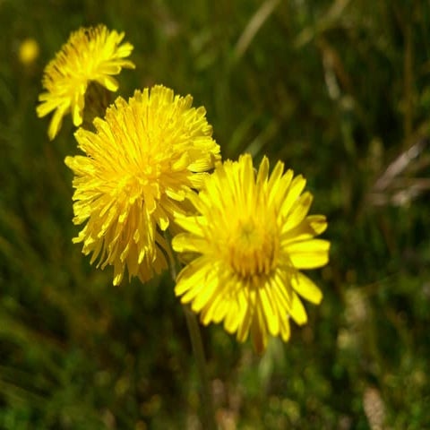 Presentación de ejemplo