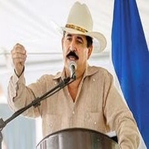 Presentacion Rata De Dos Patas