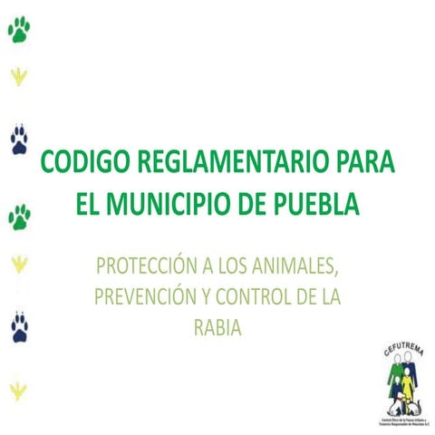 REGLAMENTO DE PROTECCION DE ANIMALES PREVENCION Y CONTROL DE LA RABIA DEL MUN...