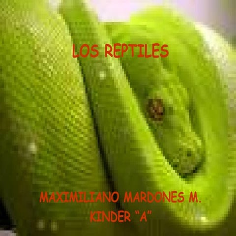 Presentacion Reptiles