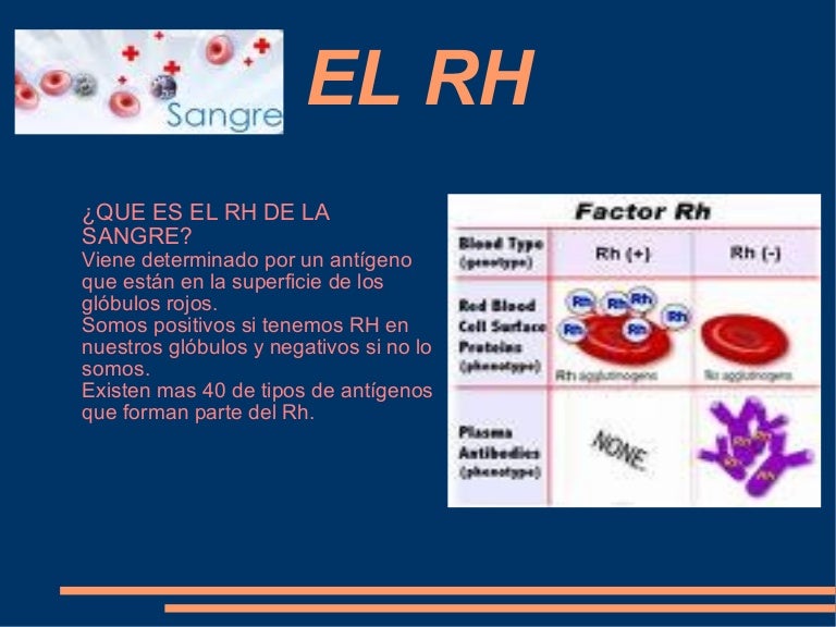 Presentacion rh Presentacion rh