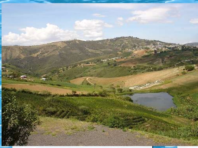 Municipio Andrés Eloy Blanco