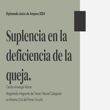 Presentación SESION 16 SUPLENCIA DE LA QUEJA.pdf
