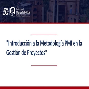 Presentación PMI | PPTX