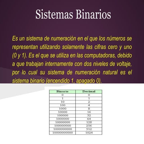 Presentacion sistema binario | PDF
