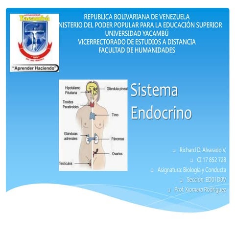 Presentacion sistema endocrino | PPTX