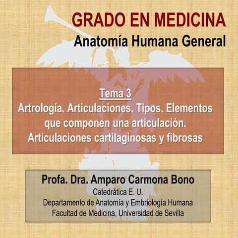 Presentacion T 3.pdf de anatomiiiiiiiiaa